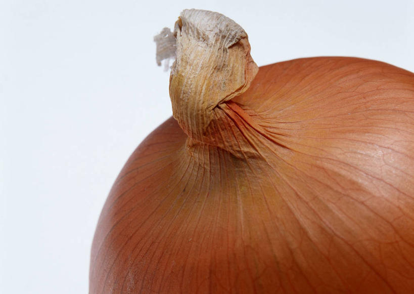 无人,横图,俯视,室内,特写,白天,白色背景,蔬菜,洋葱,阴影,新鲜,反射,影子,食品,食物,一个,摄影,有机食品,绿色食品,影棚,单个,玉葱,荷兰葱,圆葱,洋葱头,球葱,葱头,彩图,高角度拍摄,影棚拍摄,拍摄,黄洋葱