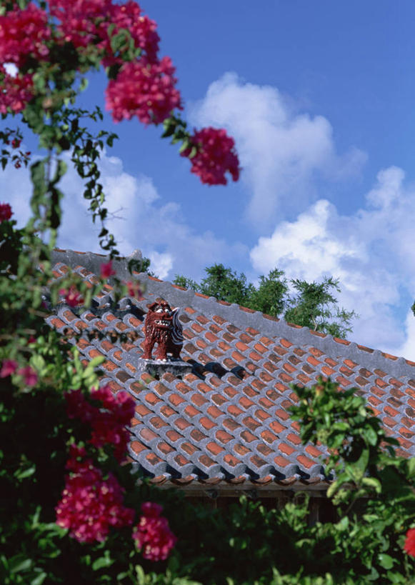 无人,农田,竖图,俯视,室外,白天,旅游,度假,庄稼,农作物,美景,植物,日本,亚洲,阴影,盛开,光线,影子,景观,云,云朵,花蕾,云彩,娱乐,冲绳,花,花瓣,花朵,鲜花,树,树木,粉色,蓝色,绿色,白云,蓝天,天空,阳光,自然,天,花苞,花蕊,享受,休闲,景色,放松,生长,晴朗,成长,冲绳县,自然风光,东亚,琉球群岛,日本国,九州地方,八重山群岛,晴空,彩图,高角度拍摄,耕地,庄稼田,竹富町,八重山郡