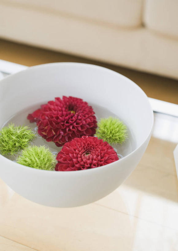 无人,客厅,竖图,俯视,室内,特写,白天,智慧,沙发,桌子,玻璃,五朵,艺术,装饰,盛开,陶瓷,大丽花,陶瓷制品,花蕾,茶几,文化,玻璃制品,花,花瓣,花朵,鲜花,一个,红色,绿色,插花,容器,碗,花苞,花蕊,菊花,单个,大理花,储藏,华丽,修饰,插花艺术,点缀,创造,起居室,储存,创作,想象,布艺沙发,大丽菊,衬托,美观,雅致,雅观,富丽,大方,客堂,彩图,高角度拍摄,贮存