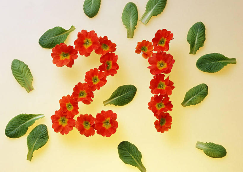 无人,横图,俯视,室内,特写,白天,植物,叶子,阴影,盛开,时间,反射,二十一世纪,世纪,标志,数字,文字,纹理,影子,字符,绿叶,非洲菊,花蕾,标识,花,花瓣,花朵,鲜花,红色,绿色,花苞,花蕊,嫩叶,菊花,摄影,阿拉伯数字,影棚,肌理,扶郎花,灯盏花,千日菊,叶,叶片,叶脉,彩图,高角度拍摄,影棚拍摄,拍摄,21世纪,年代,新世纪