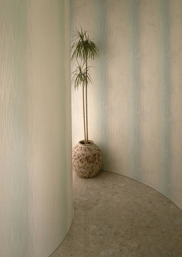 无人,竖图,室内,白天,正面,植物,壁纸,阴影,反射,盆栽,影子,墙,走道,走廊,过道,盆景,墙壁,墙面,绿色,自然,生长,成长,墙纸,彩图