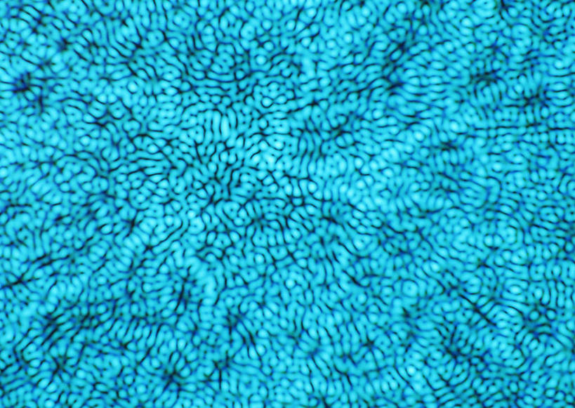 无人,横图,室内,特写,白天,正面,激光,阴影,透明,辐射,光线,影子,蓝色,镭射,理智,沉静,冷色,高深,冷淡,彩图,莱塞