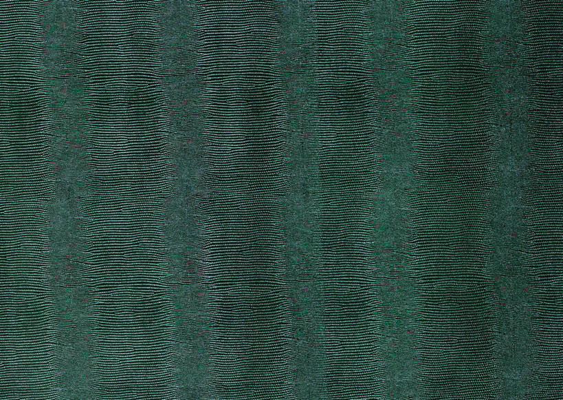 无人,横图,室内,特写,白天,正面,静物,一块,新鲜,装饰,纹路,纹理,皮,皮革,绿色,温暖,青春,皮肤,保暖,华丽,牛皮,皮毛,点缀,生命,御寒,和平,安详,肌理,衬托,美观,雅致,雅观,冷色,彩图,牛皮革,黄牛皮