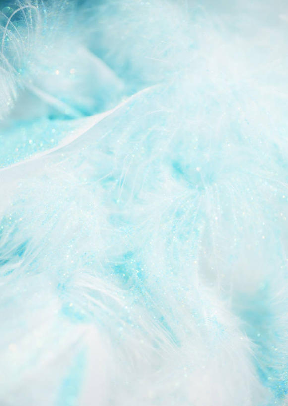 无人,竖图,室内,特写,白天,正面,静物,羽毛,阴影,轻盈,柔软,透明,反射,影子,蓝色,柔滑,轻柔,理智,沉静,冷色,高深,冷淡,娇嫩,柔嫩,优柔,彩图