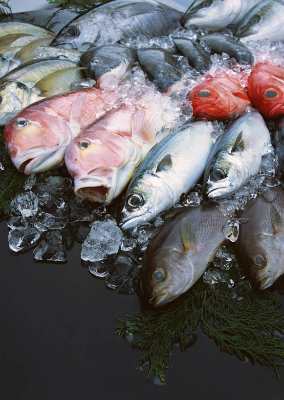 海鲜,无人,竖图,俯视,室内,白天,餐桌,桌子,叶子,一排,许多,阴影,整齐,并列,并排,反射,鱼,影子,绿叶,很多,鲷鱼,水产,鱼类,海洋生物,排列,红色,白色,黑色,嫩叶,餐台,鲷,加吉鱼,金眼鲷,鲹鱼,铜盆鱼,队列,水生动物,海产品,平行,水生物,海底动物,班加吉,加真鲷,鲹,白方头鱼,方头鱼,甘鲷,红马头,马头鱼,银方头鱼,叶,叶片,半身,彩图,高角度拍摄,大眼鲹,杰克鱼