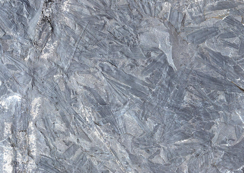 无人,横图,俯视,室内,特写,白天,石头,静物,一块,阴影,遗迹,反射,纹路,化石,石子,纹理,影子,海螺,海洋生物,摄影,影棚,软体动物,峨螺,水生动物,水生物,海底动物,肌理,遗体,古生物,石块,岩石,彩图,高角度拍摄,影棚拍摄,拍摄