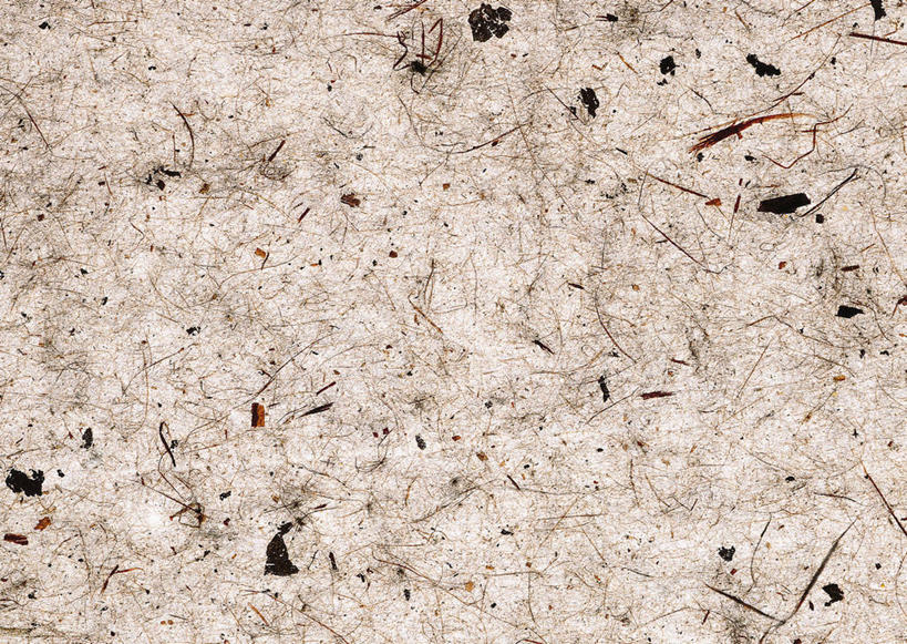 无人,横图,室内,特写,白天,正面,静物,花纹,丰富,褶皱,纹路,纹理,纸,褐色,纸张,文化,成熟,杂乱,混乱,肌理,和纸,日本纸,谦让,随和,紊乱,芜杂,彩图