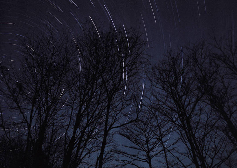 无人,横图,室外,夜晚,长时间曝光,仰视,旅游,度假,美景,山,山脉,星空,植物,夜景,景观,山峰,枝条,山峦,背光,娱乐,树,树木,树枝,自然,群山,享受,休闲,景色,放松,北斗七星,自然风光,逆光,曝光,虬枝,枝杈,星夜,夜空,彩图,低角度拍摄,北斗,开阳,天玑,天权,天枢,天璇,摇光,玉衡,指极星