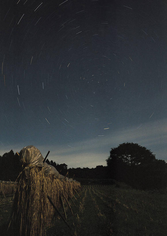 无人,竖图,室外,夜晚,长时间曝光,仰视,旅游,度假,探险,神秘,宇宙,草地,草坪,美景,树林,星空,植物,夜景,科学,太空,星球,景观,星云,背光,娱乐,草,树,树木,绿色,自然,享受,休闲,景色,放松,探索,北极星,星系,星座,生长,成长,发现,天体,自然风光,逆光,曝光,星体,天文学,外太空,仙后座,星夜,夜空,彩图,低角度拍摄,北辰,勾陈一,小熊座α星,紫微垣