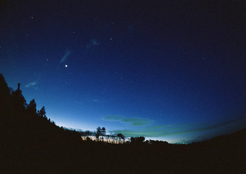 无人,横图,室外,夜晚,长时间曝光,仰视,旅游,度假,美景,森林,树林,星空,植物,夜景,景观,背光,娱乐,树,树木,蓝色,绿色,蓝天,天空,自然,天,享受,休闲,景色,放松,百武彗星,彗星,生长,成长,天体,自然风光,逆光,曝光,扫把星,扫帚星,星夜,夜空,彩图,低角度拍摄