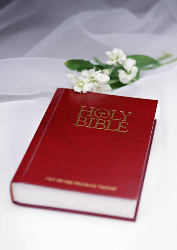 无人,竖图,俯视,室内,特写,白天,爱情,婚礼,快乐,幸福,纯洁,热情,玫瑰,书籍,阴影,节日,庆祝,柔软,盛开,透明,反射,英文,标志,布,文字,影子,字符,字母,玫瑰花,圣经,结婚,浪漫,花蕾,布纹,文化,标识,花,花瓣,花朵,鲜花,书本,白玫瑰,花苞,花蕊,祈祷,健康,温暖,温馨,喜庆,恩爱,许愿,宗教,信仰,轻薄,纪念,飘逸,英文字母,祈求,布匹,和睦,经书,感动,尊敬,雪纺,平安,天真,刺玫花,徘徊花,书,图书,彩图,高角度拍摄,高兴,丝织物,耶经,乔其纱,乔其绉,乔琪纱,融洽