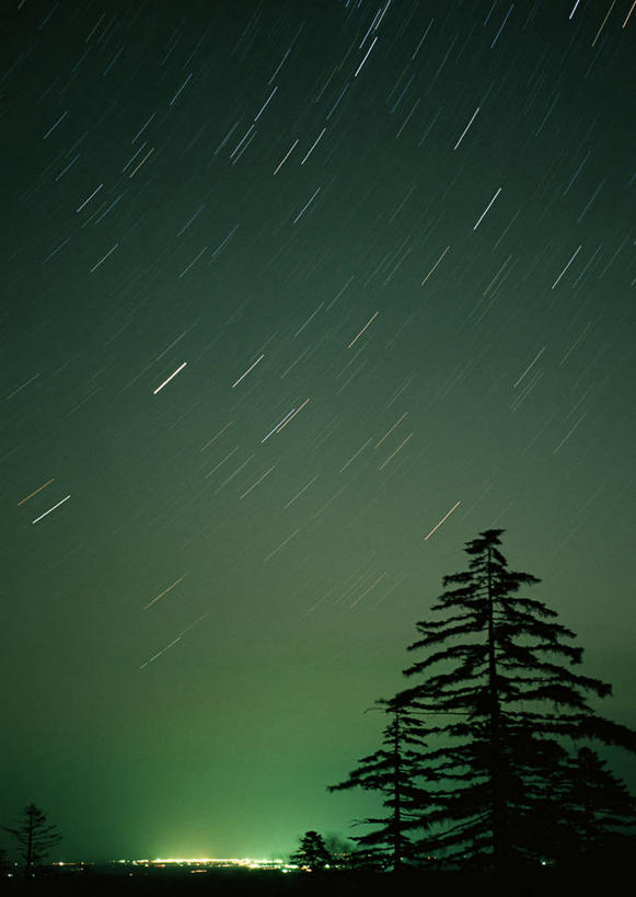 无人,竖图,室外,夜晚,仰视,神秘,极光,流星,美景,森林,树林,星空,植物,夜景,景观,背光,辉煌,浪漫,美丽,文化,树,树木,绿色,自然,祈祷,灿烂,景色,许愿,生长,成长,气象,华丽,祈求,天体,美好,天文,神奇,逆光,天文学,绚烂,光耀,极光带,极光弧,极光幔,极光芒,极光片,流星雨,星夜,夜空,彩图,低角度拍摄,猎户座流星雨