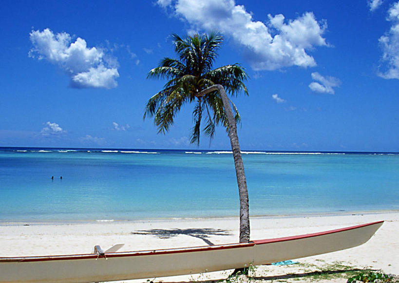 无人,横图,室外,白天,正面,旅游,度假,海浪,海洋,美景,沙滩,植物,棕榈树,叶子,美国,一棵,阴影,光线,沙子,影子,海岸,景观,浪花,水平线,云,云朵,辽阔,绿叶,海平线,沙地,云彩,娱乐,树,树木,蓝色,绿色,白云,蓝天,天空,阳光,自然,海水,天,享受,休闲,广阔,嫩叶,景色,放松,生长,晴朗,成长,一望无际,北美,北美洲,自然风光,美洲,海景,棕榈叶,北亚美利加洲,亚美利加洲,关岛,无边无际,一马平川,马里亚纳群岛,叶,叶片,大海,风浪,海,海水的波动,海滩,近岸浪,涌浪,晴空,棕树,棕榈,彩图,水天相接,水天一线