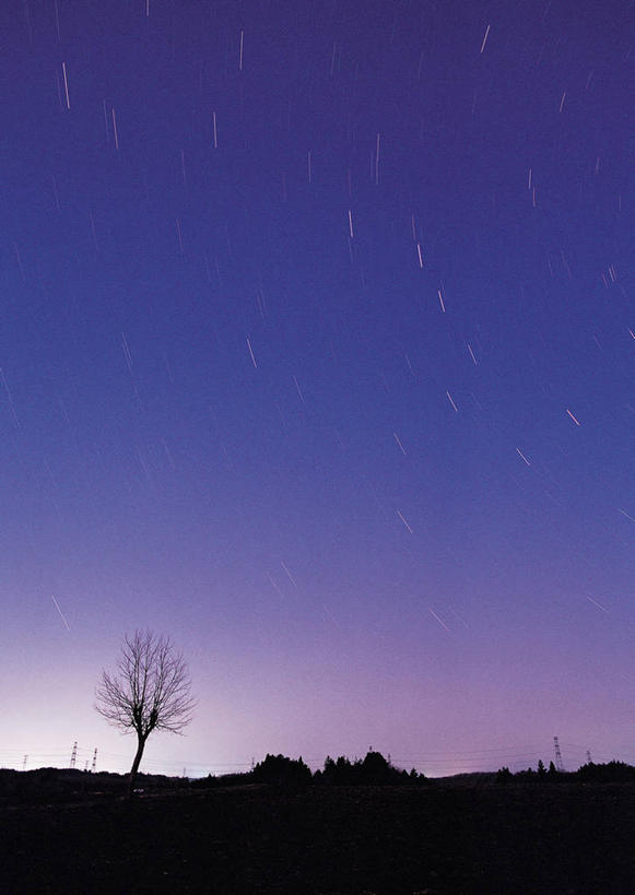 无人,竖图,室外,白天,正面,探险,神秘,宇宙,极光,森林,树林,植物,科学,太空,星球,星云,背光,辉煌,浪漫,美丽,树,树木,蓝色,绿色,蓝天,天空,自然,天,灿烂,探索,北斗七星,北极星,星系,星座,生长,晴朗,成长,气象,发现,华丽,天体,美好,神奇,逆光,星体,天文学,外太空,万里无云,绚烂,光耀,极光带,极光弧,极光幔,极光芒,极光片,晴空,晴空万里,彩图,北斗,开阳,天玑,天权,天枢,天璇,摇光,玉衡,指极星,北辰,勾陈一,小熊座α星,紫微垣