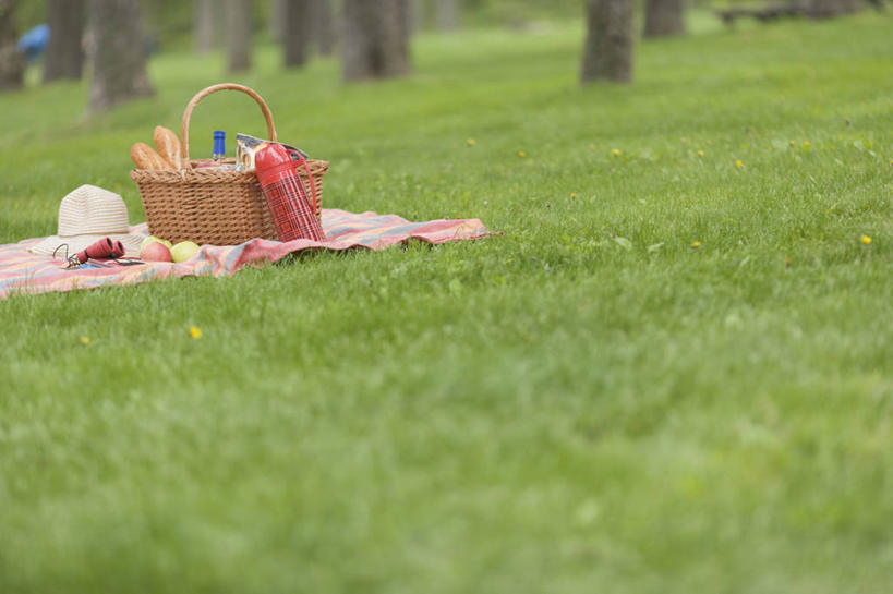 点心,面包,无人,横图,室外,白天,正面,草地,草坪,美景,植物,杯子,水果,金属制品,许多,阴影,朦胧,模糊,新鲜,光线,金属,篮子,影子,坐垫,景观,生食,食品,面点,果实,树桩,草,树,树干,食物,糕点,绿色,阳光,自然,木桩,景色,有机食品,绿色食品,自然风光,保温杯,保温,野餐垫,野餐地毯,多功能毯,食物篮,彩图,野餐篮