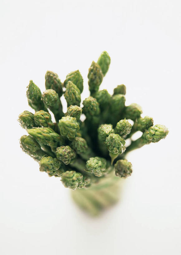 无人,竖图,俯视,室内,特写,白天,白色背景,芦笋,蔬菜,许多,阴影,朦胧,模糊,新鲜,反射,影子,绿芦笋,食品,食物,绳子,摄影,有机食品,绿色食品,影棚,捆绑,绳索,绑缚,猪尾巴,药鸡豆子,石刁柏,蚂蚁杆,龙须菜,狼尾巴根,彩图,高角度拍摄,影棚拍摄,拍摄