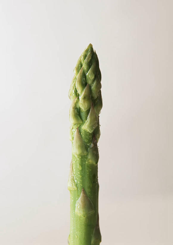 无人,竖图,俯视,室内,特写,白天,白色背景,餐桌,桌子,芦笋,蔬菜,一根,阴影,新鲜,反射,影子,绿芦笋,食品,食物,绿色,摄影,有机食品,绿色食品,影棚,餐台,猪尾巴,药鸡豆子,石刁柏,蚂蚁杆,龙须菜,狼尾巴根,彩图,高角度拍摄,影棚拍摄,拍摄