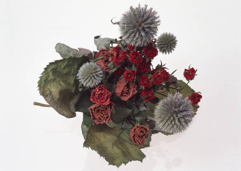 无人,横图,俯视,室内,特写,白天,白色背景,爱情,幸福,纯洁,智慧,热情,桌面,桌子,玫瑰,叶子,阴影,艺术,装饰,盛开,反射,木制,影子,绿叶,玫瑰花,浪漫,花蕾,文化,花,花瓣,花朵,鲜花,插花,木制品,花苞,花蕊,一束,温暖,温馨,嫩叶,菊花,恩爱,摄影,影棚,华丽,修饰,插花艺术,点缀,和睦,创造,创作,感动,想象,衬托,美观,雅致,雅观,尊敬,蓝刺头,天真,刺玫花,徘徊花,叶,叶片,彩图,高角度拍摄,影棚拍摄,拍摄,驴欺口,融洽