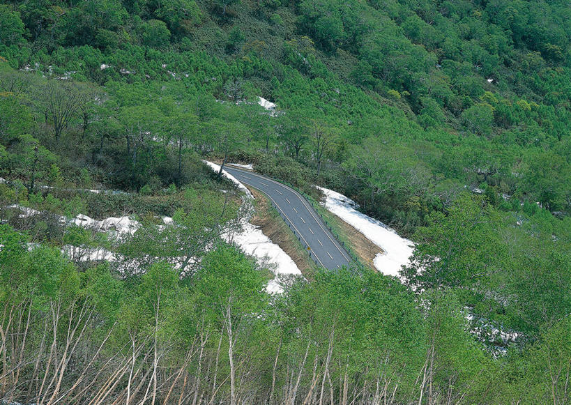 无人,公园,横图,室外,白天,正面,旅游,度假,石头,美景,森林,山,山脉,树林,雪,植物,大雪,道路,路,公路,北海道,日本,亚洲,石子,积雪,景观,山峰,雪景,冬季,冬天,交通,山峦,娱乐,树,树木,绿色,自然,群山,享受,休闲,景色,放松,寒冷,生长,成长,国家公园,自然风光,东亚,沉积岩,日本国,北海道地方,北海道岛,严寒,知床半岛,知床国家公园,水成岩,石块,岩石,马路,彩图