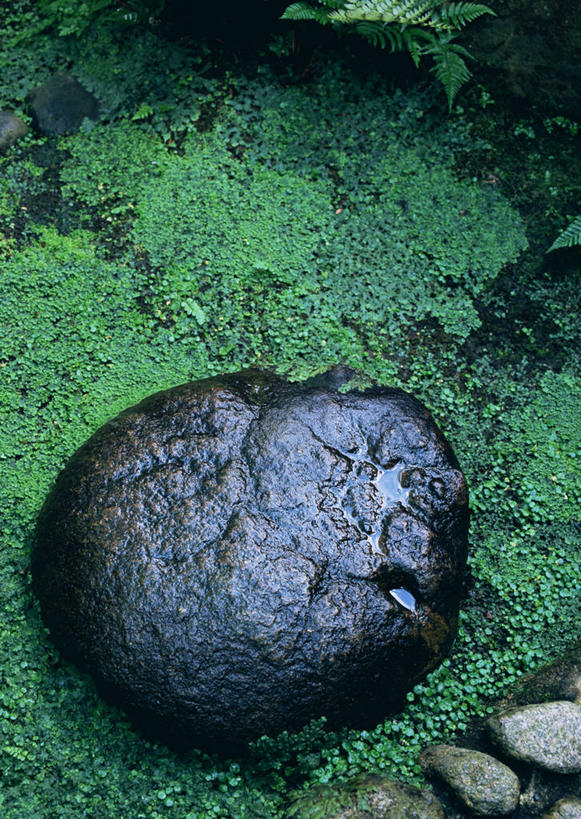 无人,竖图,俯视,室外,特写,白天,石头,美景,石子,池塘,景观,水池,青苔,苔藓,自然,景色,自然风光,沉积岩,水成岩,石块,岩石,彩图,高角度拍摄