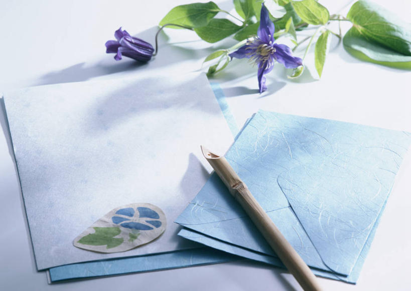 无人,横图,俯视,室内,特写,白天,白色背景,叶子,阴影,盛开,反射,笔,信封,影子,纸,绿叶,办公用品,稿纸,信纸,纸张,花蕾,文具,花,花瓣,花朵,鲜花,便签纸,铅笔,学习用品,花苞,花蕊,嫩叶,摄影,影棚,文具用品,叶,叶片,彩图,高角度拍摄,影棚拍摄,拍摄,速写纸,文稿纸,演算纸