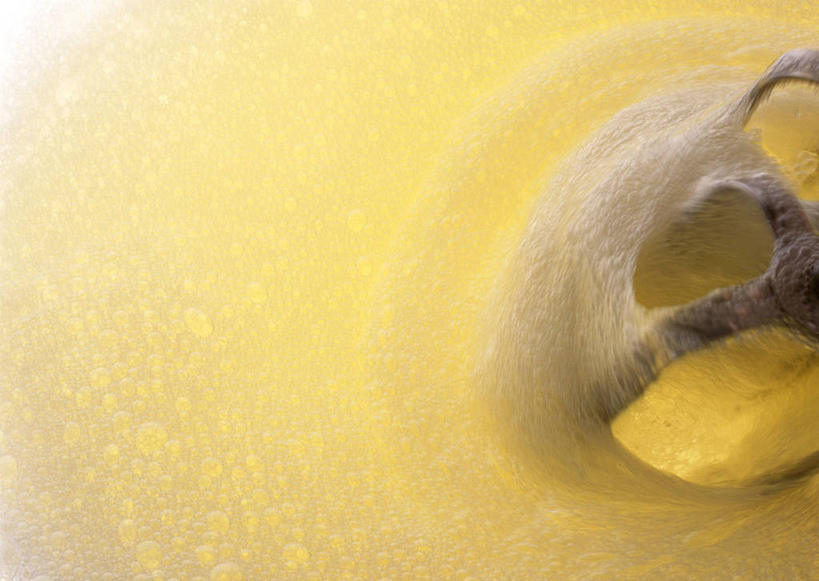 无人,横图,俯视,室内,特写,白天,烹饪,厨具,金属制品,阴影,透明,反射,金属,影子,蛋清,辉煌,一个,黄色,打蛋器,搅拌器,健康,活泼,单个,希望,暖色,光辉,烹饪用具,光明,功名,轻快,电动打蛋器,烹调用具,烹调,彩图,高角度拍摄