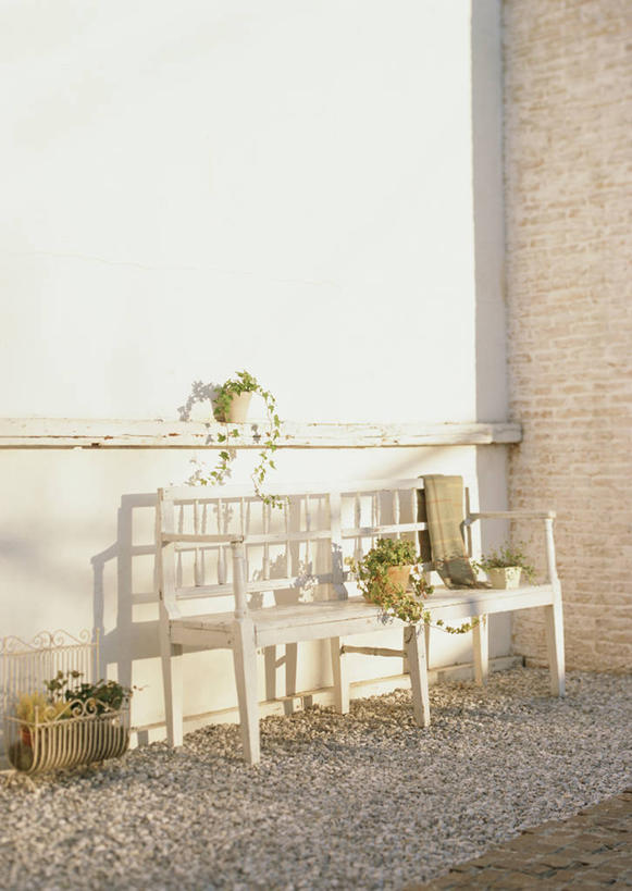 无人,竖图,室外,白天,正面,石头,植物,椅子,阴影,光线,盆栽,石子,影子,木椅,长春藤,常春藤,盆景,绿色,阳光,自然,鹅卵石,生长,成长,按摩石,永恒,不朽,忠实,洋常春藤,石块,彩图,常青藤