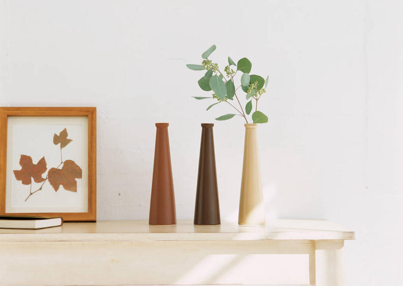 无人,横图,室内,特写,白天,白色背景,正面,植物,桌面,桌子,花瓶,书籍,一本,一排,阴影,整齐,反射,木制,影子,陶瓷,枝条,陶瓷制品,树,树木,树枝,排列,三个,木制品,瓶子,摄影,影棚,队列,桉树,尤加利,虬枝,枝杈,书,图书,装饰画,彩图,影棚拍摄,拍摄