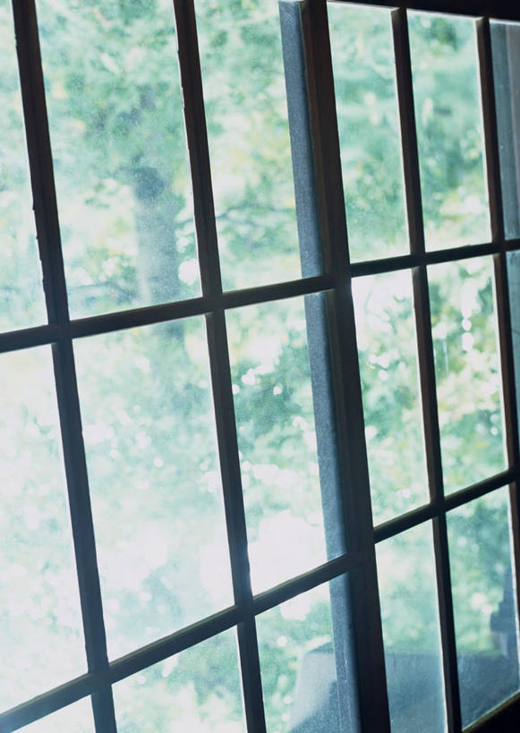 无人,竖图,室内,特写,白天,正面,植物,窗户,落地窗,门,拉门,朦胧,模糊,移门,玻璃窗,树,树木,绿色,自然,生长,成长,障子,纸门,拉窗,纸拉窗,纸拉门,彩图