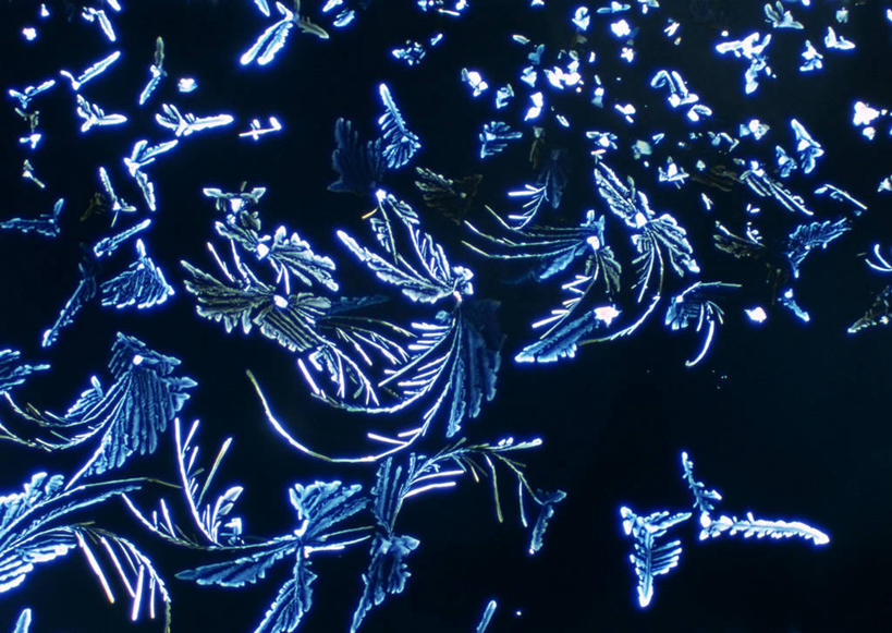 无人,横图,俯视,室内,特写,白天,仪器,许多,检查,反射,分析,光泽,科学,结晶,显微镜,水晶,光芒,很多,蓝色,黑色,观察,清晰,探索,放大,观看,仔细,透镜,维生素,凸透镜,聚焦,关注,维生素c,光学,清楚,显微图片,彩图,高角度拍摄,抗坏血酸,水溶性维生素,L-抗坏血酸