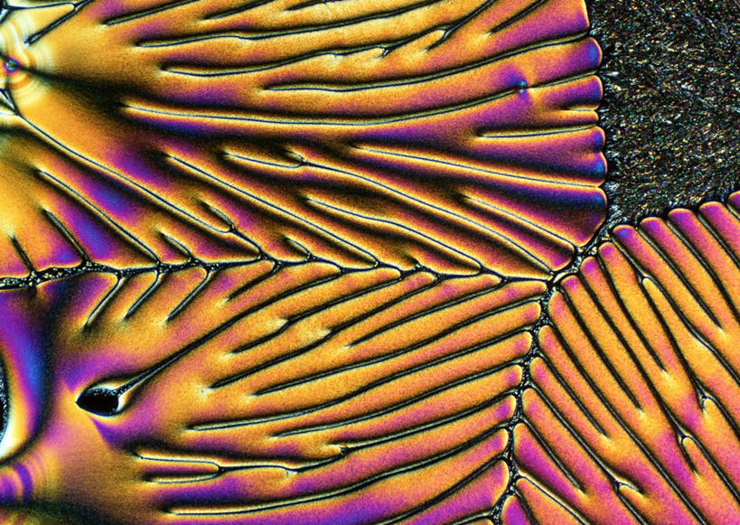 无人,横图,俯视,彩色,室内,特写,白天,仪器,许多,检查,反射,分析,光泽,科学,结晶,显微镜,水晶,光芒,很多,观察,清晰,探索,放大,观看,五颜六色,仔细,色彩斑斓,透镜,维生素,凸透镜,聚焦,关注,五彩缤纷,维生素c,光学,清楚,五彩斑斓,五光十色,显微图片,彩图,高角度拍摄,抗坏血酸,水溶性维生素,L-抗坏血酸