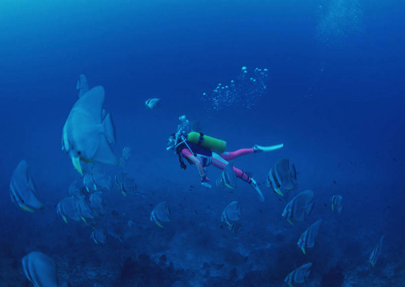 游泳,西方人,一个人,横图,室外,白天,侧面,锻炼,旅游,度假,运动,海底,水下,海浪,海洋,美景,欧洲,马尔代夫,欧洲人,亚洲,仅一个年轻女性,仅一个女性,仅一个人,潜水员,服装,鱼,潜水镜,泳镜,景观,浪花,水底,娱乐,小丑鱼,鱼类,衣服,自然,海水,享受,休闲,蛙鞋,景色,放松,海底世界,潜水服,潜水,服饰,脚蹼,呼吸管,衣着,穿着,自然风光,南亚,潜水装备,海葵鱼,海景,面镜,浮潜,潜水运动,马尔代夫共和国,衣饰,三带双锯鱼,双锯鱼,体育,年轻女性,女人,女性,白种人,大海,风浪,海,海床,海水的波动,近岸浪,涌浪,彩图,全身,健身,干式潜水服