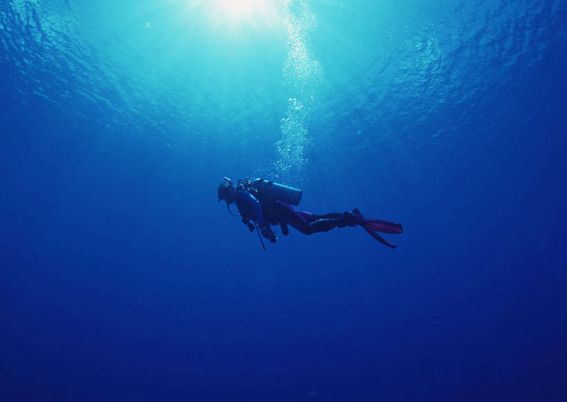 游泳,西方人,一个人,横图,室外,白天,仰视,锻炼,旅游,度假,运动,海底,水下,海浪,海洋,美景,欧洲,马尔代夫,欧洲人,亚洲,仅一个年轻女性,仅一个女性,仅一个人,潜水员,服装,潜水镜,泳镜,景观,浪花,水底,娱乐,衣服,自然,海水,享受,休闲,蛙鞋,景色,放松,海底世界,潜水服,潜水,服饰,脚蹼,呼吸管,衣着,穿着,自然风光,南亚,潜水装备,海景,面镜,浮潜,潜水运动,马尔代夫共和国,衣饰,体育,年轻女性,女人,女性,白种人,大海,风浪,海,海床,海水的波动,近岸浪,涌浪,彩图,低角度拍摄,全身,健身,干式潜水服