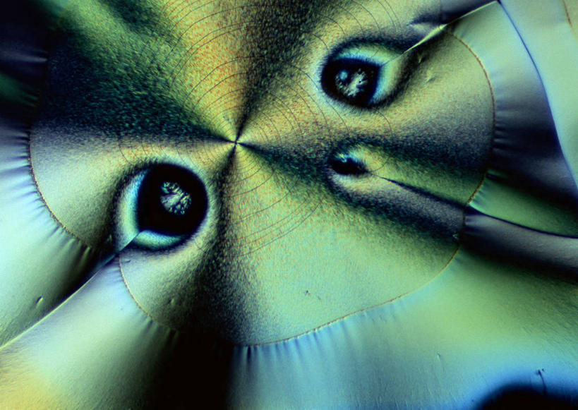 无人,横图,俯视,彩色,室内,特写,白天,仪器,许多,检查,反射,分析,光泽,科学,圆形,结晶,显微镜,水晶,光芒,很多,观察,清晰,探索,放大,观看,五颜六色,仔细,色彩斑斓,透镜,维生素,凸透镜,聚焦,关注,五彩缤纷,维生素c,光学,清楚,五彩斑斓,五光十色,显微图片,彩图,高角度拍摄,抗坏血酸,水溶性维生素,L-抗坏血酸