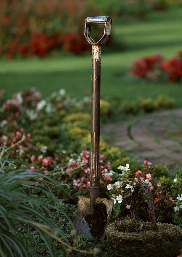 无人,花园,竖图,室外,白天,正面,花海,花圃,美景,植物,叶子,一把,朦胧,模糊,盛开,铲子,景观,园艺,花蕾,花,花瓣,花朵,花卉,鲜花,红色,绿色,自然,花丛,花束,花田,花苞,花蕊,景色,自然风光,小花园,彩图