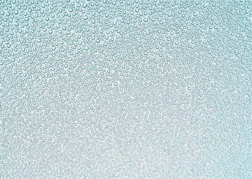 无人,横图,室内,特写,白天,正面,水,露水,阴影,透明,反射,液体,影子,水滴,水珠,露珠,摄影,影棚,生机,剔透,灵动,通明,彩图,影棚拍摄,拍摄,晶莹