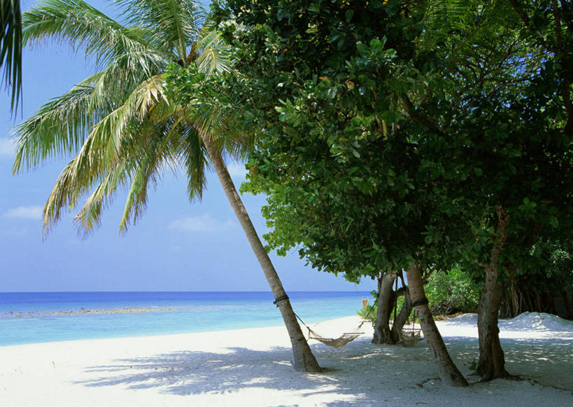 无人,横图,室外,白天,正面,旅游,度假,海浪,海洋,美景,植物,床,吊床,棕榈树,叶子,马尔代夫,亚洲,吊挂,悬挂,阴影,光线,影子,景观,浪花,水平线,云,云朵,辽阔,绿叶,海平线,挂,云彩,娱乐,树,树木,蓝色,绿色,白云,蓝天,天空,阳光,自然,海水,天,享受,休闲,广阔,嫩叶,景色,放松,生长,晴朗,成长,一望无际,安逸,自然风光,南亚,海景,棕榈叶,马尔代夫共和国,安适,清闲,无边无际,一马平川,叶,叶片,大海,风浪,海,海水的波动,近岸浪,涌浪,晴空,彩图,索尼娃姬莉酒店,水天相接,水天一线