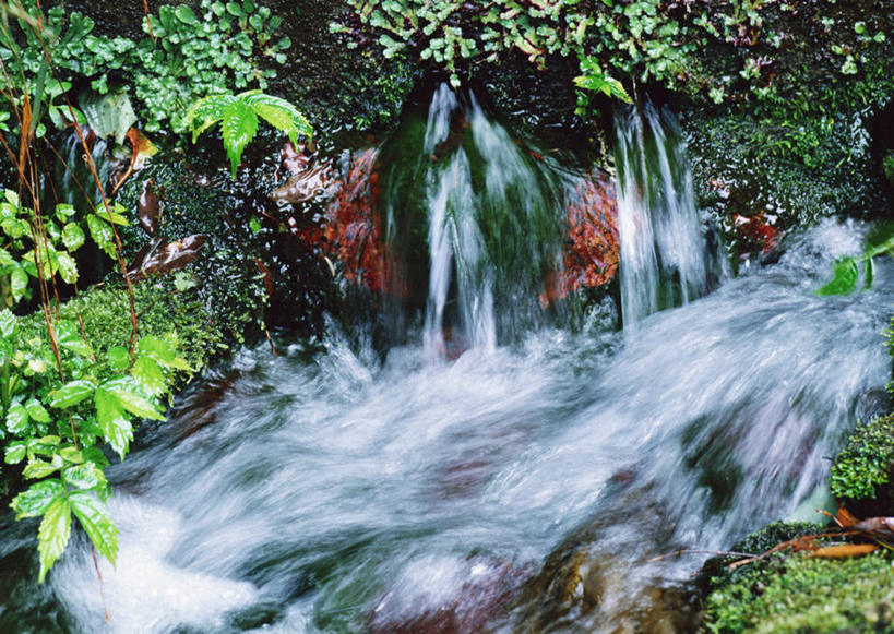 无人,横图,俯视,室外,白天,旅游,度假,河流,石头,美景,瀑布,山,山脉,水,植物,叶子,静冈县,日本,亚洲,阴影,飞溅,朦胧,模糊,溅,光线,石子,液体,影子,河水,景观,山峰,水滴,水流,青苔,绿叶,苔藓,山峦,娱乐,水珠,绿色,阳光,自然,群山,享受,休闲,嫩叶,景色,放松,生长,成长,喷洒,自然风光,东亚,本州,本州岛,日本国,中部地方,静冈,伊豆半岛,叶,叶片,跌水,石块,岩石,彩图,高角度拍摄,伊豆市
