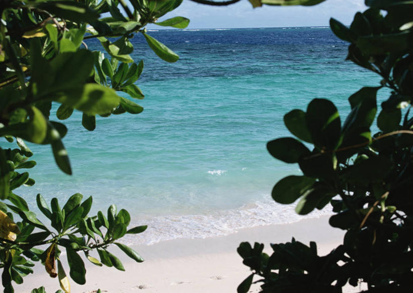 无人,横图,室外,白天,正面,旅游,度假,海浪,海洋,美景,沙滩,植物,叶子,斐济,阴影,光线,沙子,纹理,影子,海岸,景观,浪花,水平线,辽阔,绿叶,海平线,沙地,娱乐,树,树木,蓝色,绿色,蓝天,天空,阳光,自然,海水,天,享受,休闲,广阔,嫩叶,景色,放松,生长,晴朗,成长,一望无际,自然风光,大洋洲,海景,万里无云,肌理,南太平洋,斐济群岛共和国,玛玛奴卡群岛,无边无际,一马平川,叶,叶片,叶脉,大海,风浪,海,海水的波动,海滩,近岸浪,涌浪,晴空,晴空万里,彩图,水天相接,水天一线