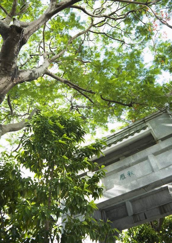 无人,竖图,室外,白天,仰视,度假,美景,植物,城市风光,城市,雕塑,香港,中国,亚洲,阴影,艺术,装饰,光线,标志,雕刻,牌匾,文字,影子,字符,景观,文化,娱乐,标识,树,树木,绿色,天空,阳光,自然,工艺品,天,享受,休闲,汉字,景色,放松,生长,成长,纪念,美术,港,中文,主题,陈列,东亚,九龙,香港特别行政区,港澳台,中华人民共和国,功能,美学,国文,华文,九龙半岛,油尖旺区,彩图,低角度拍摄