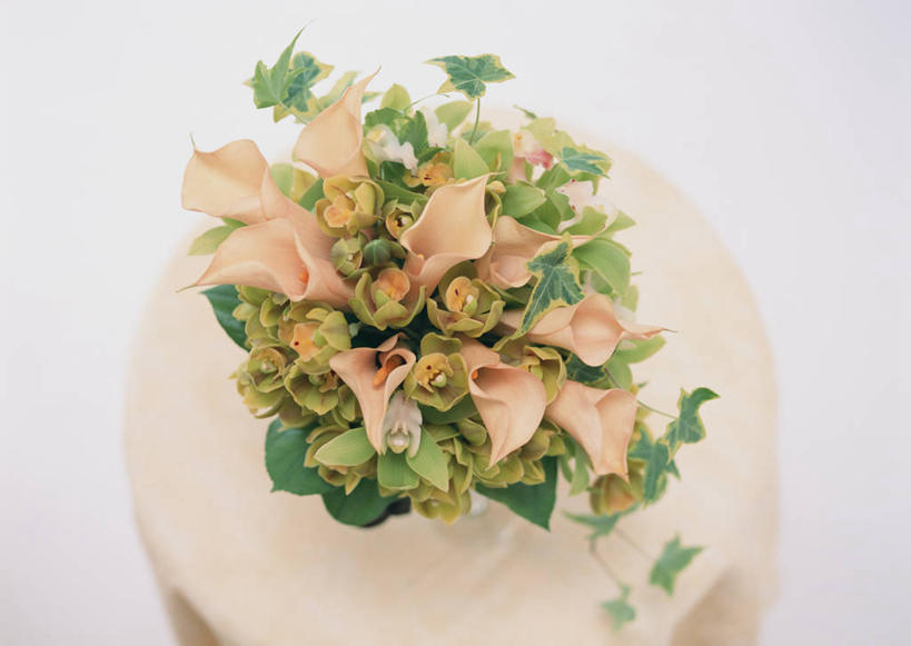 无人,横图,俯视,室内,特写,白天,白色背景,婚礼,快乐,植物,桌面,桌子,叶子,庆祝,装饰,盛开,木制,布料,捧花,手捧花,纹理,长春藤,常春藤,绿叶,石斛,结婚,花蕾,布纹,桌布,花,花瓣,花朵,鲜花,绿色,餐巾,木制品,台布,花束,花苞,花蕊,一束,喜庆,嫩叶,摄影,影棚,纪念,华丽,修饰,点缀,高雅,柠檬叶,肌理,永恒,衬托,美观,雅致,雅观,石斛兰,不朽,忠实,洋常春藤,金钗石斛,淡泊,花中君子,大花蕙兰,西姆比兰,婚礼捧花,兰花,叶,叶片,叶脉,彩图,高角度拍摄,影棚拍摄,高兴,拍摄,黎檬,洋柠檬,常青藤