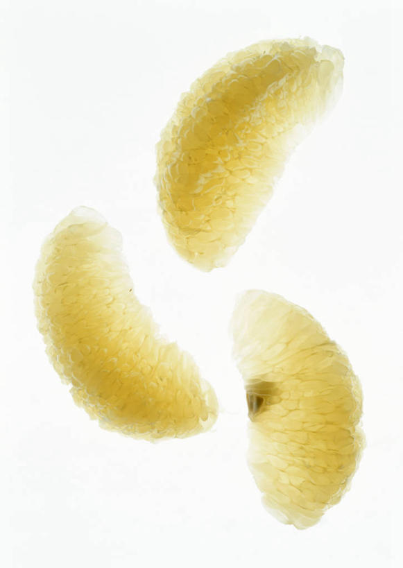 无人,竖图,俯视,室内,特写,白天,白色背景,柚子,水果,三块,新鲜,生食,食品,果实,食物,摄影,有机食品,绿色食品,影棚,柚,文旦,团圆果,彩图,高角度拍摄,影棚拍摄,拍摄