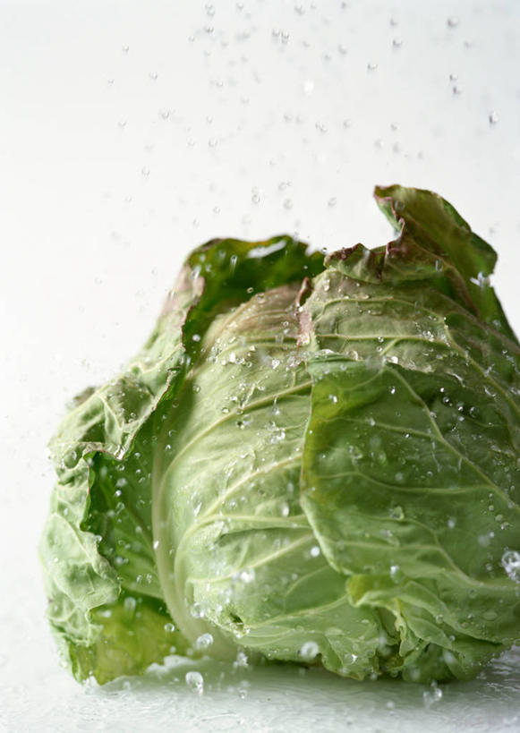 无人,竖图,俯视,室内,特写,白天,白色背景,蔬菜,椰菜,卷心菜,叶子,新鲜,纹路,纹理,食品,绿叶,食物,一个,绿色,嫩叶,甘蓝,摄影,有机食品,绿色食品,影棚,单个,肌理,甘蓝菜,叶,叶片,结球甘蓝,甘兰,包心菜,彩图,高角度拍摄,影棚拍摄,拍摄