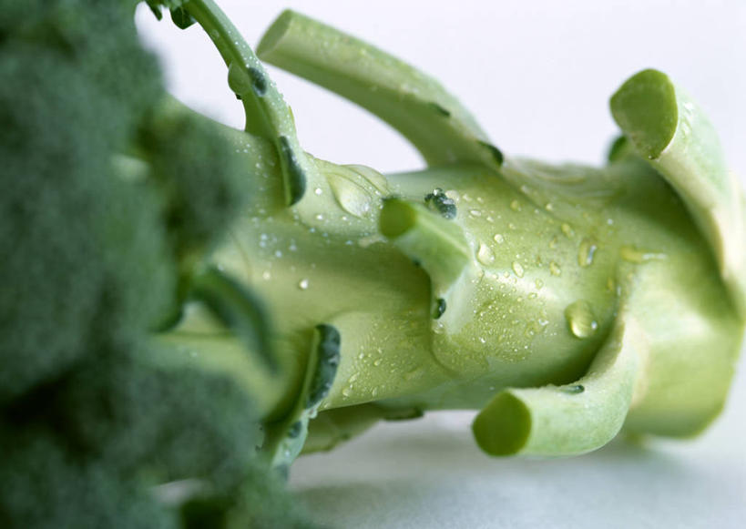 无人,横图,俯视,室内,特写,白天,白色背景,蔬菜,新鲜,花菜,花椰菜,西兰花,食品,食物,一个,摄影,有机食品,绿色食品,影棚,单个,椰菜花,甘蓝花,彩图,高角度拍摄,影棚拍摄,拍摄