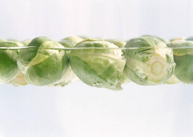 无人,横图,俯视,室内,特写,白天,白色背景,水,蔬菜,椰菜,卷心菜,许多,新鲜,液体,水滴,食品,食物,绿色,甘蓝,摄影,有机食品,绿色食品,抱子甘蓝,芽甘蓝,影棚,球芽甘蓝,子持甘蓝,结球甘蓝,甘兰,包心菜,彩图,高角度拍摄,影棚拍摄,拍摄