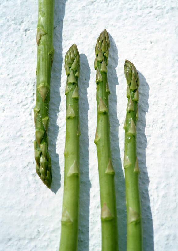 无人,竖图,俯视,室内,特写,白天,白色背景,芦笋,蔬菜,一排,新鲜,整齐,绿芦笋,食品,食物,排列,四个,摄影,有机食品,绿色食品,影棚,队列,猪尾巴,药鸡豆子,石刁柏,蚂蚁杆,龙须菜,狼尾巴根,彩图,高角度拍摄,影棚拍摄,拍摄