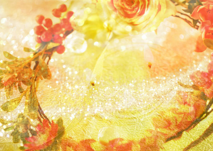 无人,横图,室内,白天,正面,爱情,幸福,纯洁,热情,数码,科技,玫瑰,阴影,装饰,盛开,透明,网络,花环,玫瑰花,高光,几何,计算机图形,辉煌,浪漫,合成,花蕾,花,花瓣,花朵,鲜花,黄色,花苞,花蕊,健康,温暖,温馨,橙色,恩爱,活泼,希望,华丽,修饰,暖色,点缀,电脑合成图,数码合成图,和睦,合成图,感动,光辉,写实,具体,具象,衬托,美观,雅致,雅观,尊敬,光明,功名,轻快,天真,刺玫花,徘徊花,彩图,香槟玫瑰,融洽