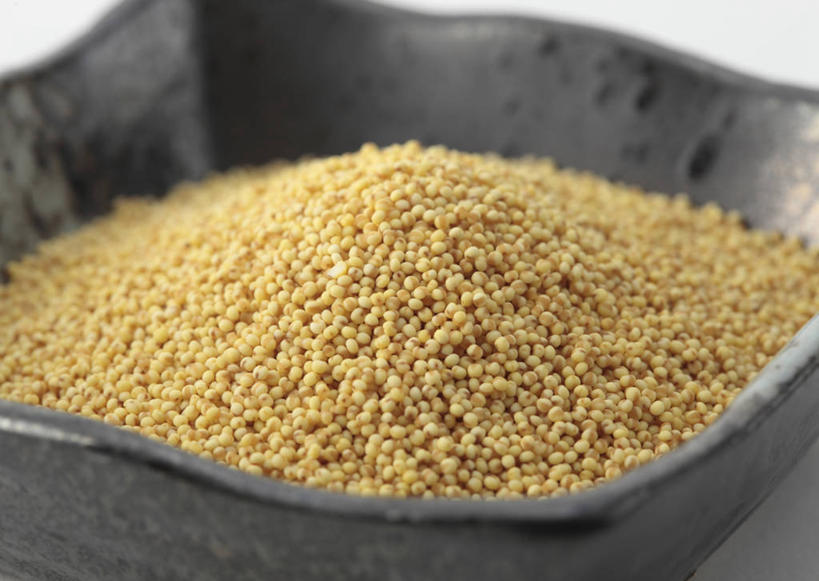 无人,横图,俯视,室内,特写,白天,白色背景,一堆,许多,阴影,堆叠,堆积,朦胧,模糊,反射,影子,陶瓷,谷物,陶瓷制品,一个,黄色,黑色,容器,碗,粟米,摄影,影棚,单个,储藏,堆,储存,小米,谷子,粟,粢米,彩图,高角度拍摄,影棚拍摄,拍摄,贮存