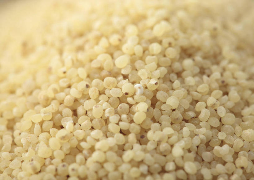 无人,横图,俯视,室内,特写,白天,一堆,许多,阴影,堆叠,堆积,朦胧,模糊,透明,反射,影子,谷物,辉煌,黄色,健康,粟米,摄影,活泼,影棚,希望,堆,暖色,小米,光辉,谷子,粟,粢米,光明,功名,轻快,彩图,高角度拍摄,影棚拍摄,拍摄