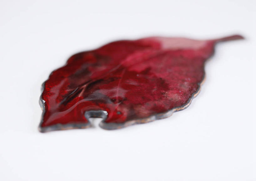 无人,横图,俯视,室内,特写,白天,白色背景,静物,叶子,珐琅,珠宝,阴影,装饰,反射,影子,绿叶,红色,嫩叶,摄影,影棚,华丽,修饰,点缀,衬托,美观,雅致,雅观,搪瓷,叶,叶片,景泰蓝,彩图,高角度拍摄,影棚拍摄,拍摄